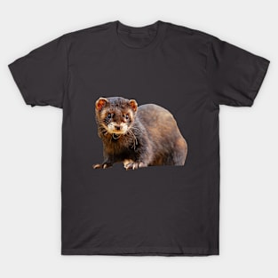 Just Ferreting around T-Shirt